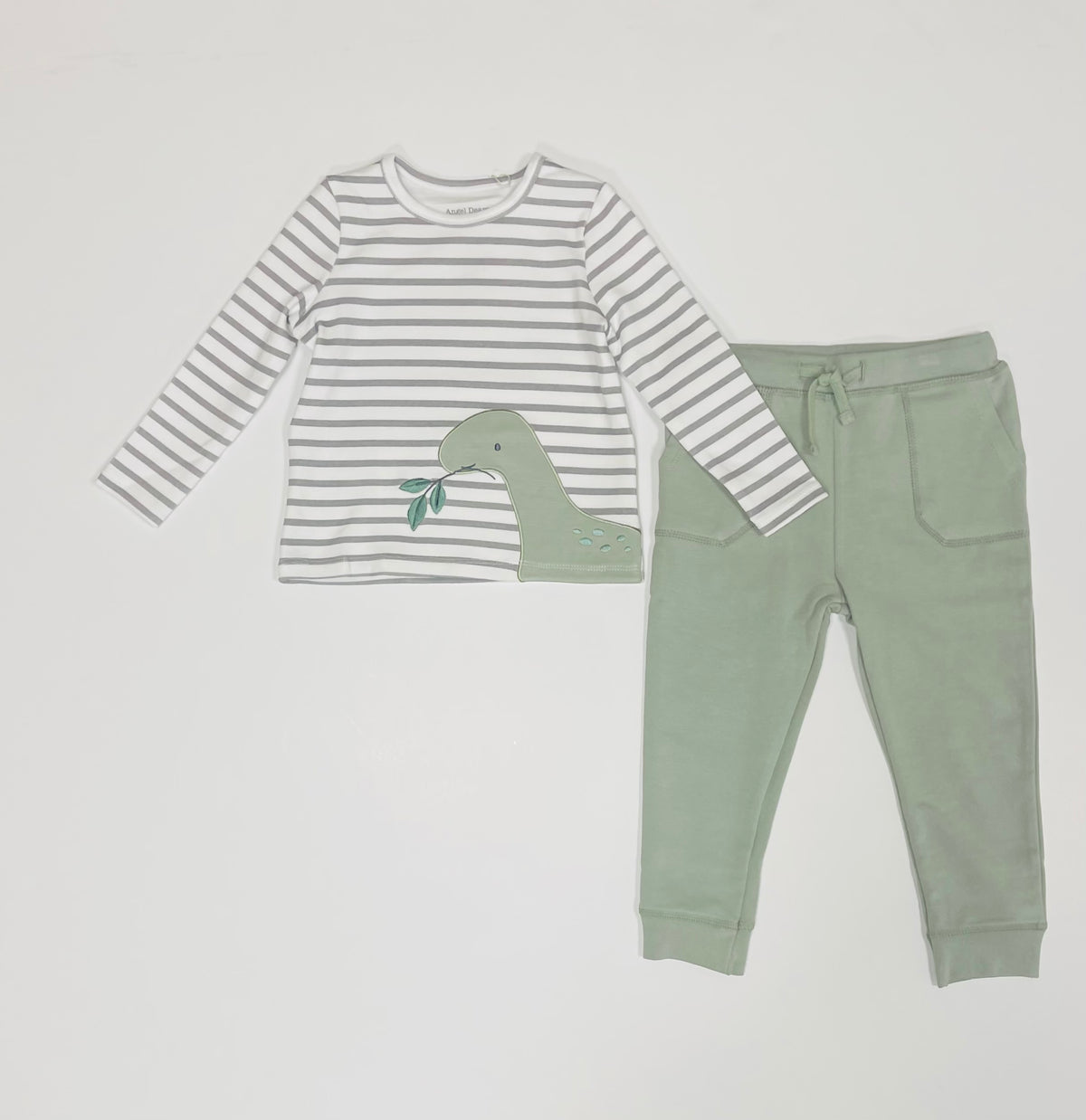 Dinos Long Sleeve Tee and Joggers Set