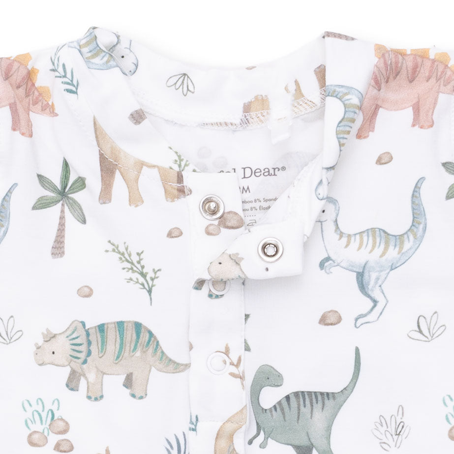 Sweet Baby Dinos Romper
