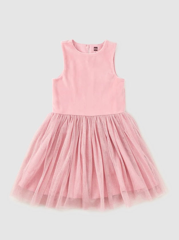 Velour & Tulle Ballet Dress