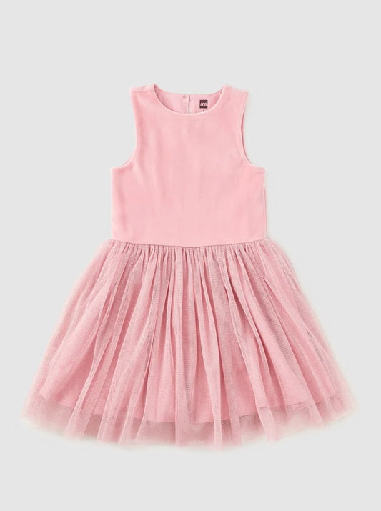 Velour & Tulle Ballet Dress