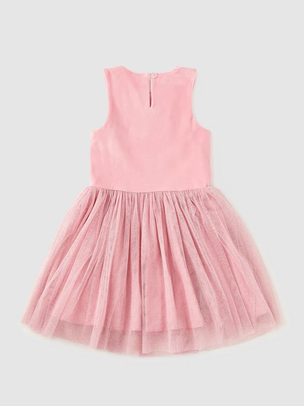 Velour & Tulle Ballet Dress