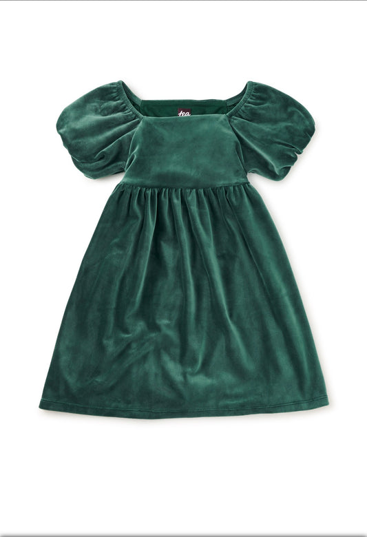 Puff Shoulder Velour Dress